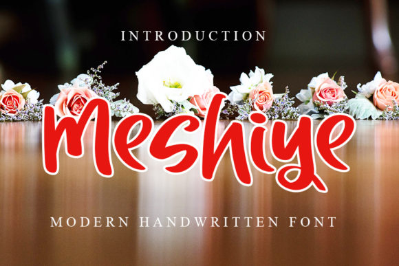 Meshiye Font: A Marketer’s Tool for Clearer Campaigns