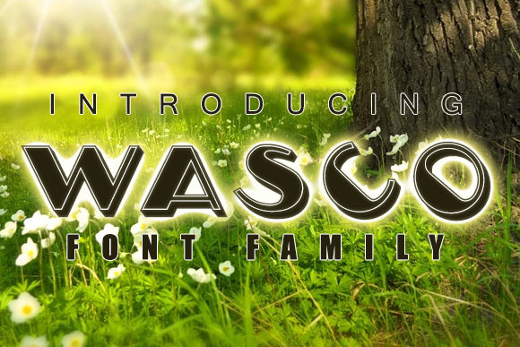Wasco Display Font: A Fun Typeface for Campaigns