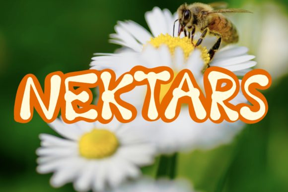 Why Nektars Is the Display Font Marketers Keep Coming Back To